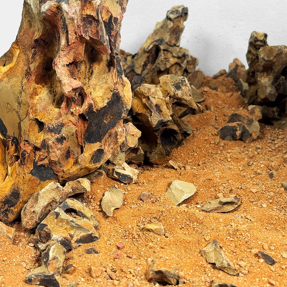 WIO - Amber Dragon River Kit