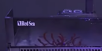 Red Sea Max Nano Switch Box