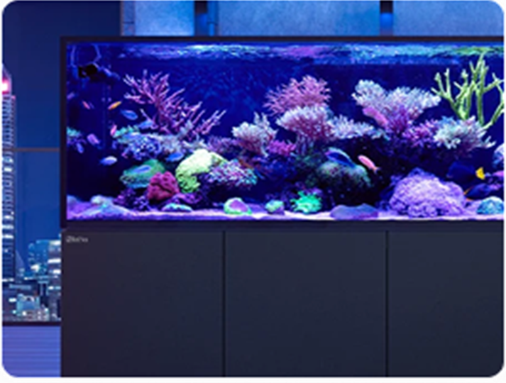 Aquariums