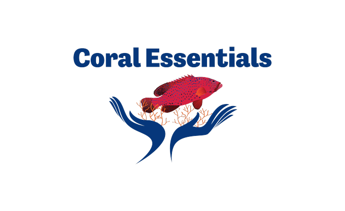 Coral Essentials